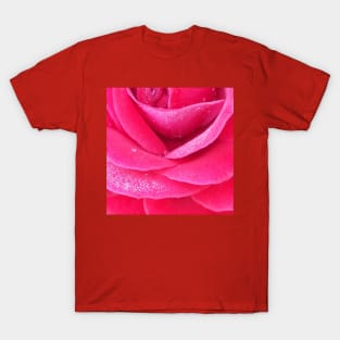 Dew on pink rose petals macro T-Shirt